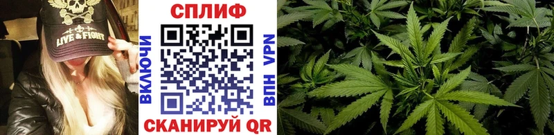 Где можно купить наркотики Апатиты Каннабис СК ГАШ