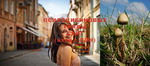 прущая мука Алзамай